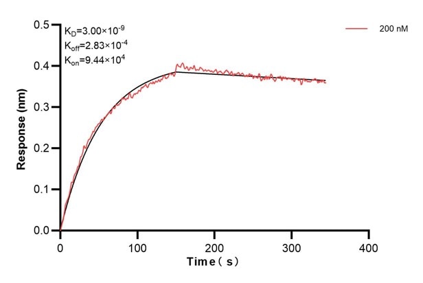 Affinity and Kinetic Characterization of 60558-4-PBS