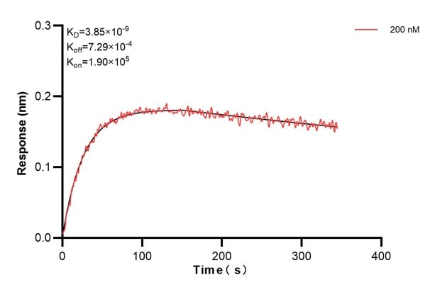 Affinity and Kinetic Characterization of 60558-5-PBS