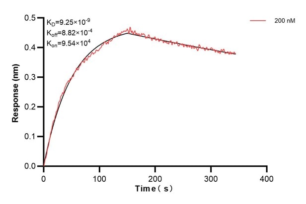 Affinity and Kinetic Characterization of 60558-6-PBS