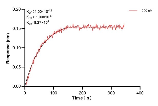 Affinity and Kinetic Characterization of 60566-2-PBS