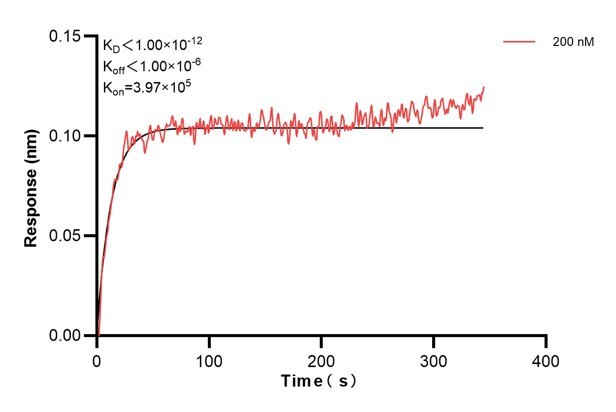 Affinity and Kinetic Characterization of 60568-1-PBS