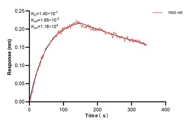 Affinity and Kinetic Characterization of 60571-3-PBS
