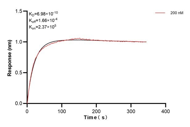 Biolayer interferometry (BLl) kinetic assay of 60576-2-Ig against Human CYP2C9 was performed. The affinity constant is 0.698 nM. Affinity and Kinetic Characterization of 60576-2-PBS