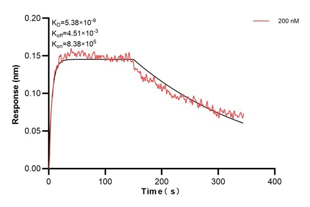 Affinity and Kinetic Characterization of 60593-3-PBS