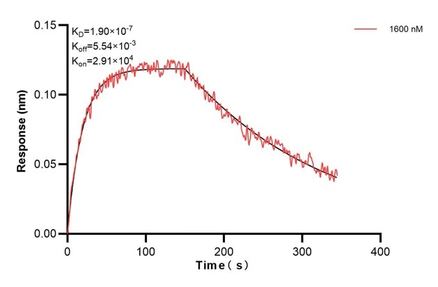 Affinity and Kinetic Characterization of 60593-4-PBS