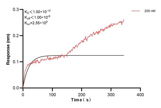 Affinity and Kinetic Characterization of 60595-1-PBS