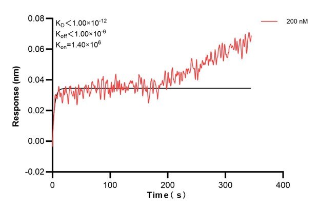 Affinity and Kinetic Characterization of 60595-2-PBS