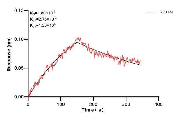 Affinity and Kinetic Characterization of 60596-1-PBS