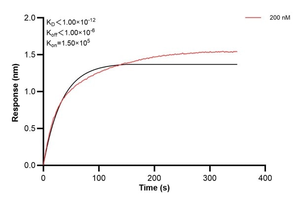 Affinity and Kinetic Characterization of 60621-2-PBS