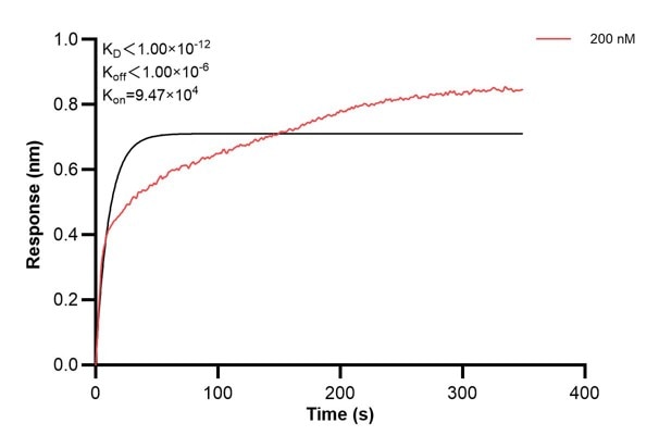 Affinity and Kinetic Characterization of 60621-3-PBS