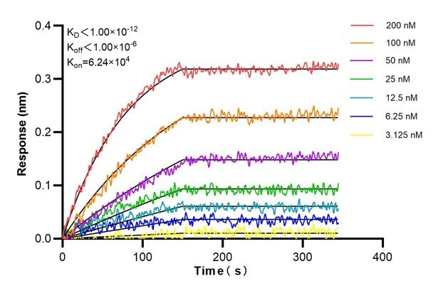Affinity and Kinetic Characterization of 60624-1-PBS