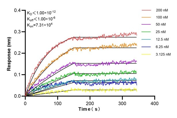 Affinity and Kinetic Characterization of 60624-2-PBS