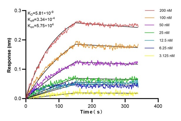Affinity and Kinetic Characterization of 60624-3-PBS