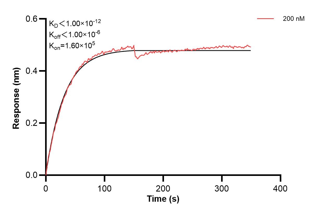 Affinity and Kinetic Characterization of 60637-1-PBS Affinity and Kinetic Characterization of 60637-1-PBS