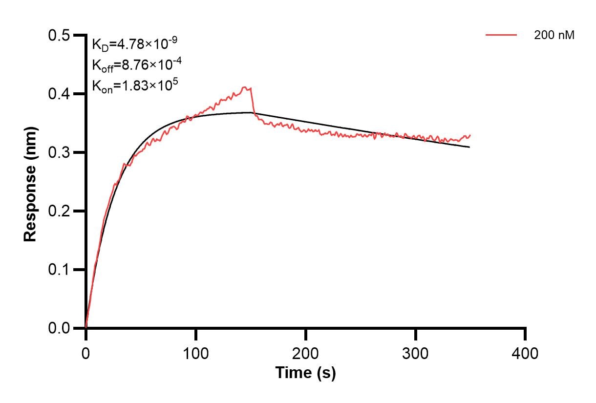Affinity and Kinetic Characterization of 60637-2-PBS