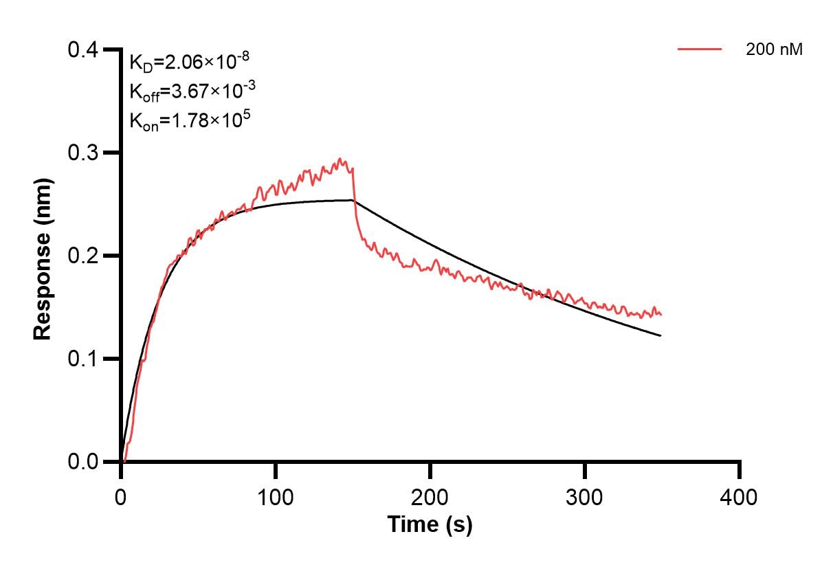 Affinity and Kinetic Characterization of 60637-3-PBS