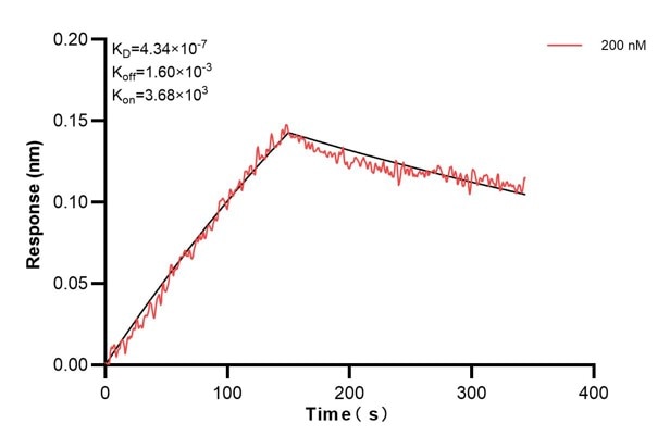 Biolayer interferometry (BLl) kinetic assay of 60642-1-Ig against Human EDN3 was performed. The affinity constant is 434 nM.. Affinity and Kinetic Characterization of 60642-1-PBS