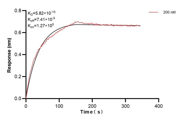 Affinity and Kinetic Characterization of 60645-2-PBS