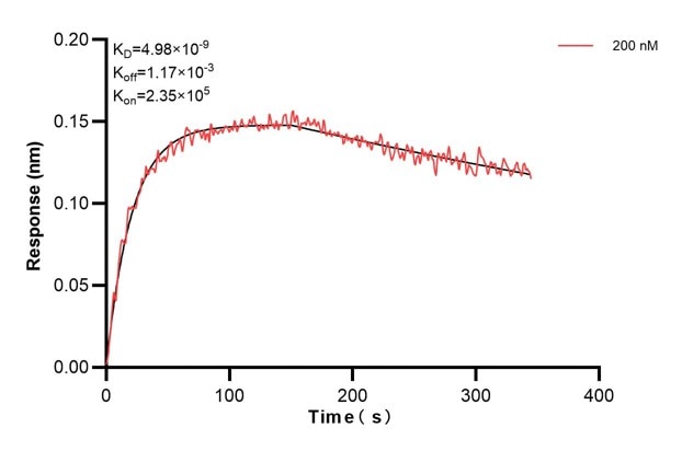 Affinity and Kinetic Characterization of 60645-3-PBS