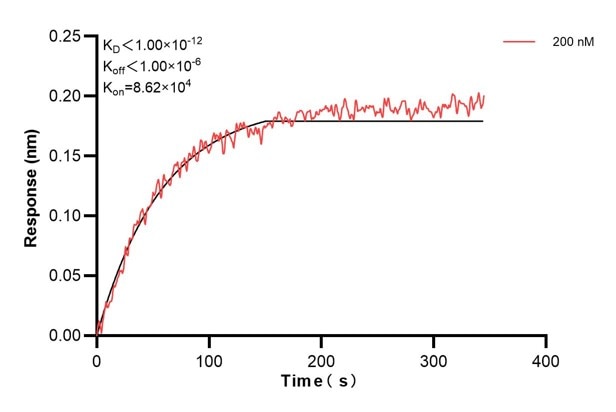 Affinity and Kinetic Characterization of 60651-1-PBS
