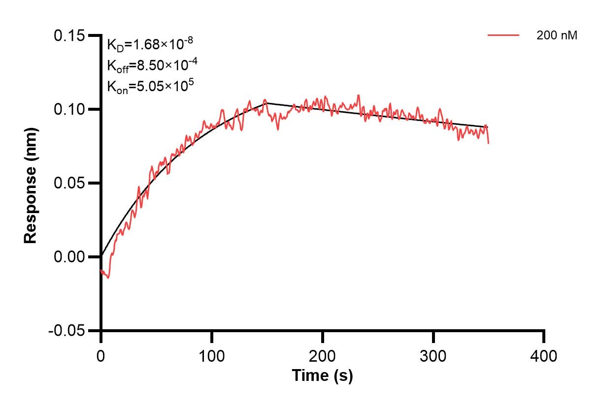 Affinity and Kinetic Characterization of 60664-2-PBS Affinity and Kinetic Characterization of 60664-2-PBS