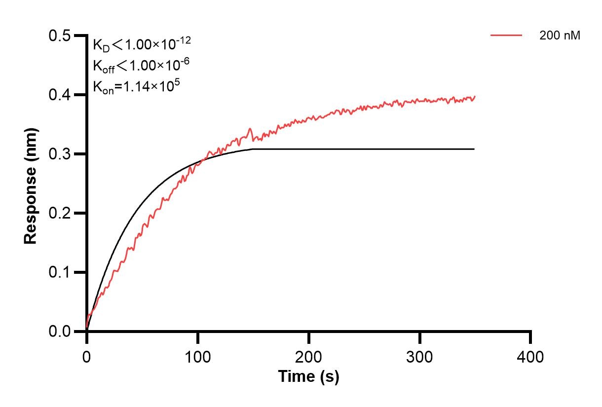 Affinity and Kinetic Characterization of 60664-4-PBS Affinity and Kinetic Characterization of 60664-4-PBS