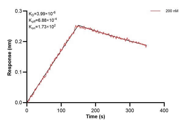 Affinity and Kinetic Characterization of 60665-1-PBS Affinity and Kinetic Characterization of 60665-1-PBS