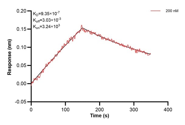Affinity and Kinetic Characterization of 60665-2-PBS Affinity and Kinetic Characterization of 60665-2-PBS