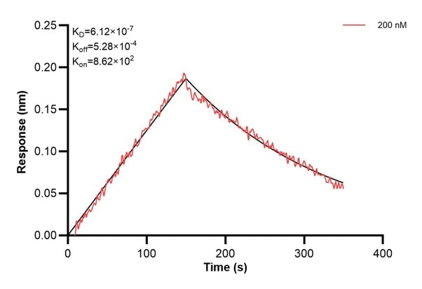 Affinity and Kinetic Characterization of 60665-3-PBS Affinity and Kinetic Characterization of 60665-3-PBS