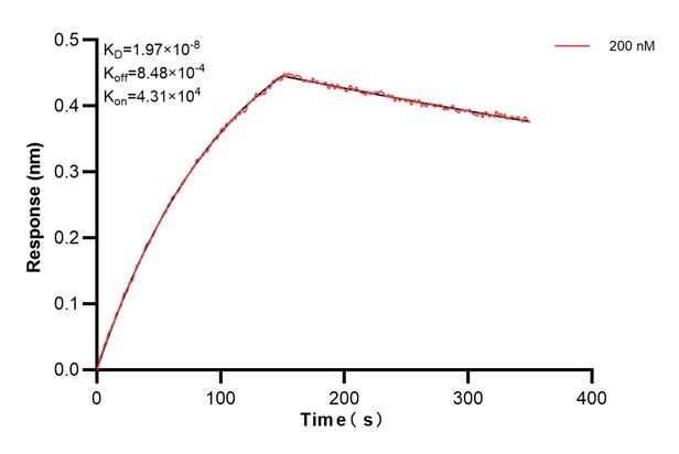 Affinity and Kinetic Characterization of 60667-3-PBS