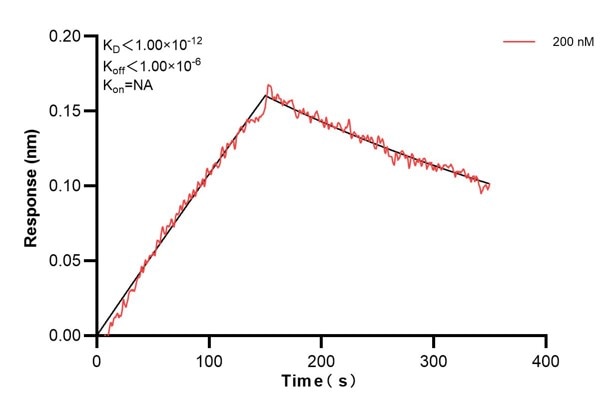 Affinity and Kinetic Characterization of 60667-4-PBS