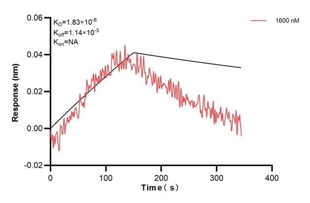 Biolayer interferometry (BLl) kinetic assay of 60668-2-Ig against Human IGF2 was performed. The affinity constant is below 1 pM. Affinity and Kinetic Characterization of 60668-2-PBS