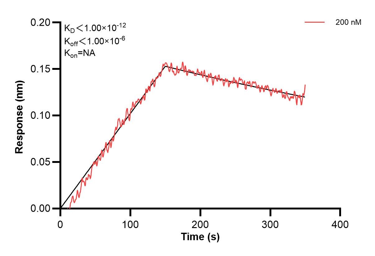 Affinity and Kinetic Characterization of 60677-1-PBS