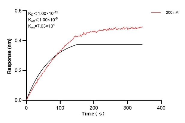 Biolayer interferometry (BLl) kinetic assay of 60678-1-Ig against Human Presenilin-1 was performed. The affinity constant is below 1 pM. Affinity and Kinetic Characterization of 60678-1-PBS