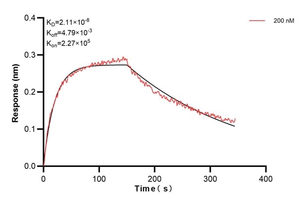 Affinity and Kinetic Characterization of 60684-2-PBS