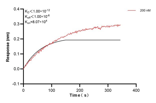 Biolayer interferometry (BLl) kinetic assay of 60703-1-Ig against Human DST was performed. The affinity constant is below 1 pM. Affinity and Kinetic Characterization of 60703-1-PBS
