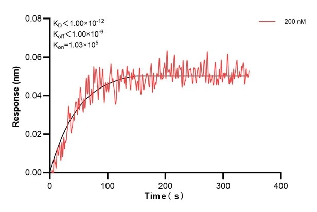 Biolayer interferometry (BLl) kinetic assay of 60703-4-Ig against Human DST was performed. The affinity constant is 1.51 nM. Affinity and Kinetic Characterization of 60703-4-PBS