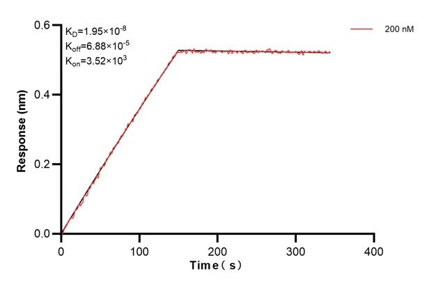 Biolayer interferometry (BLl) kinetic assays of 60705-4-Ig against Human GBP4 were performed. The affinity constant is 19.5 nM. Affinity and Kinetic Characterization of 60705-4-PBS