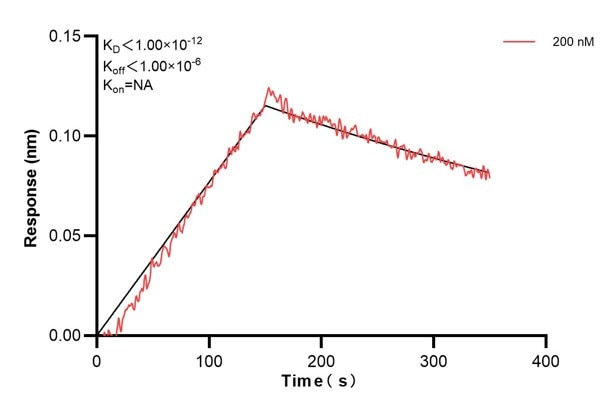Affinity and Kinetic Characterization of 60715-1-PBS