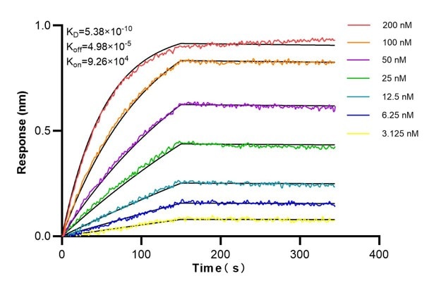 Affinity and Kinetic Characterization of 60718-1-PBS