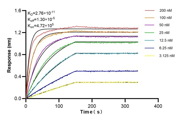 Affinity and Kinetic Characterization of 60748-2-PBS