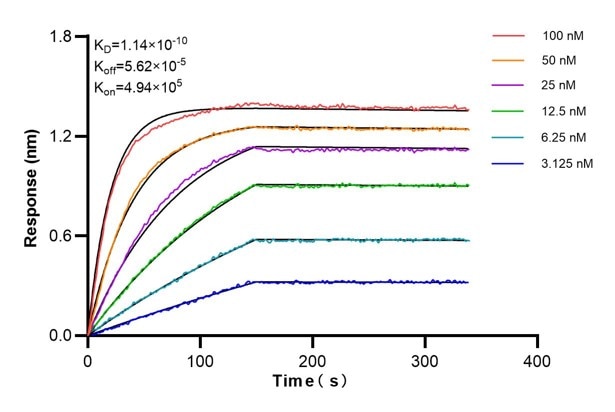 Affinity and Kinetic Characterization of 60748-4-PBS