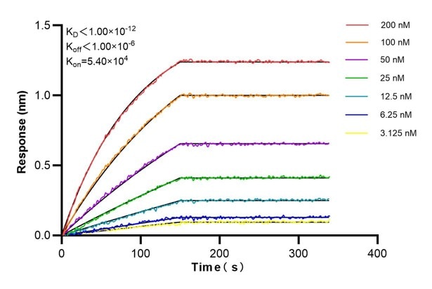 Affinity and Kinetic Characterization of 60751-1-PBS