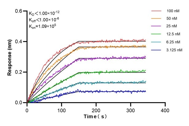 Affinity and Kinetic Characterization of 60751-2-PBS