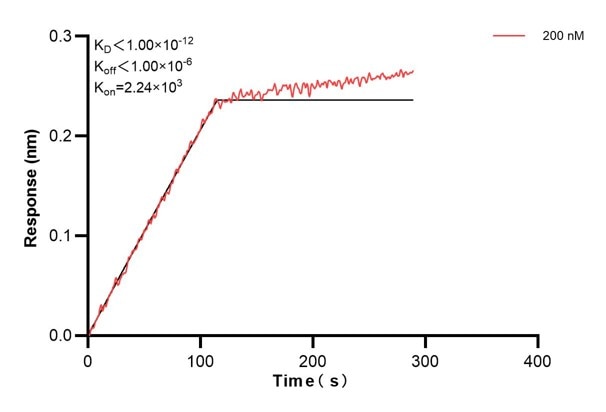 Biolayer interferometry (BLl) kinetic assays of 60756-2-Ig against Human NUCB2 were performed. The affinity constant is below 1 pM. Affinity and Kinetic Characterization of 60756-2-PBS