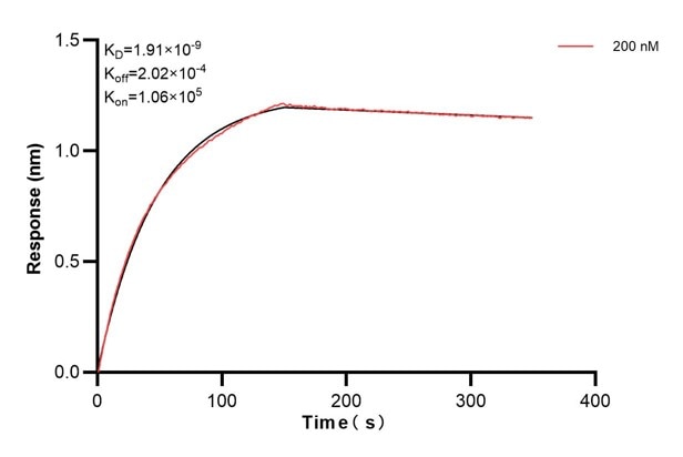 Affinity and Kinetic Characterization of 60761-2-PBS Affinity and Kinetic Characterization of 60761-2-PBS