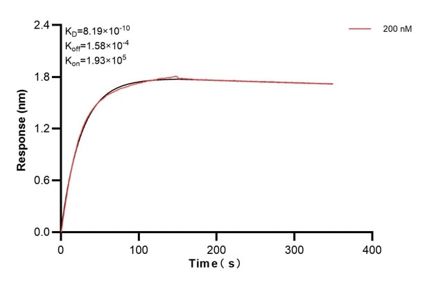 Affinity and Kinetic Characterization of 60761-6-PBS Affinity and Kinetic Characterization of 60761-6-PBS