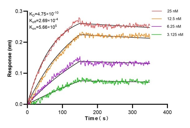 Affinity and Kinetic Characterization of 60773-1-PBS