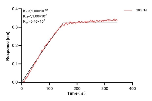 Affinity and Kinetic Characterization of 60774-6-PBS