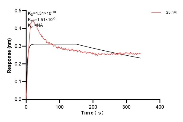 Affinity and Kinetic Characterization of 60776-2-PBS